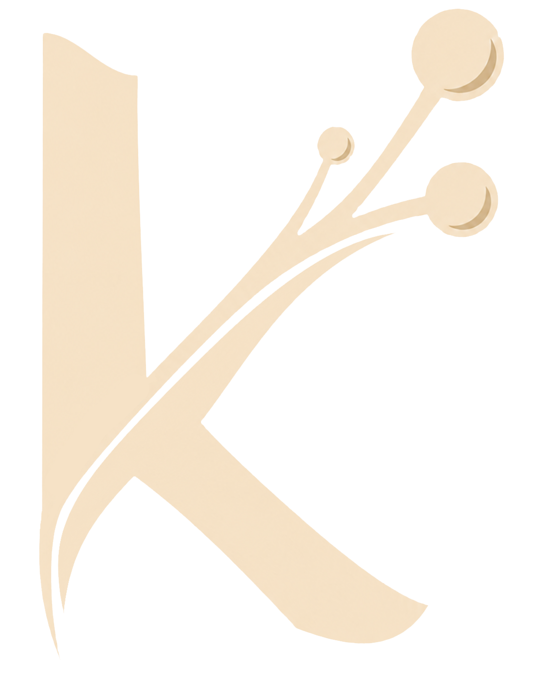 Kortex